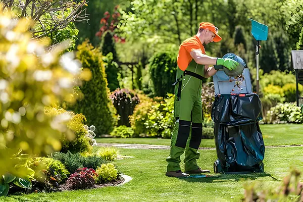 Reasons to Consider Hiring a Yard Clean-Up Service in San Diego